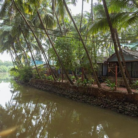 เดอะ ปาล์ม ทรี อายุรเวดิค รีสอร์ต ปัตเนม Hotel Patnem Beach ภายนอก รูปภาพ
